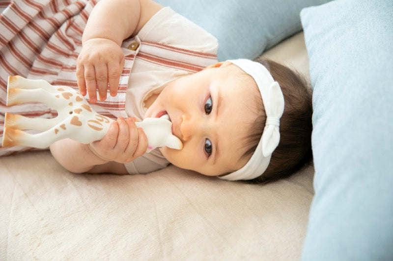 Baby Spielzeug Limited Edition 60. Geburtstag Sophie La Girafe