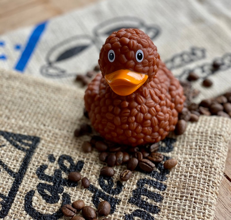Kaffee Bohnen Ente Badeente Quietscheente Lilalu