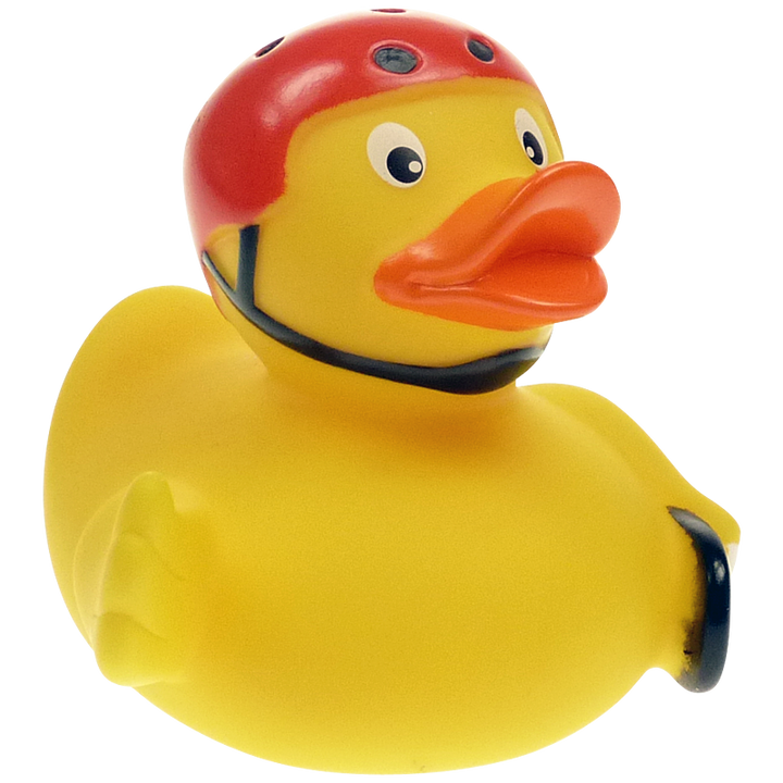Skater Skateboard Ente Badeente Quietscheente Factotum