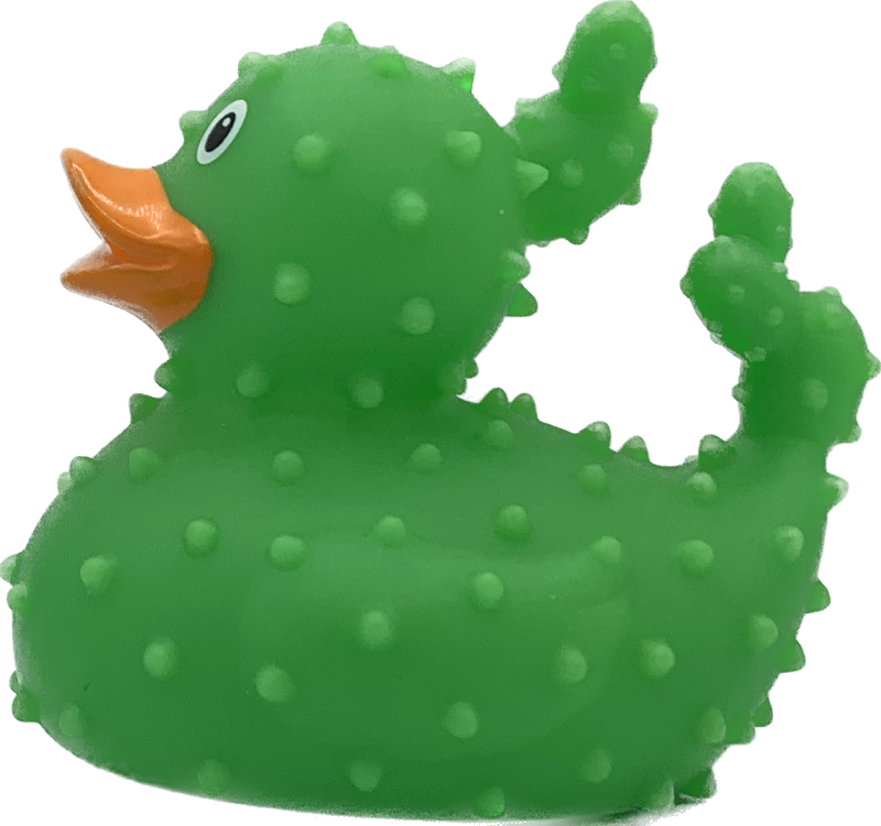 Kaktus Ente Badeente Quietscheente Gummiente Lilalu – Entengalerie