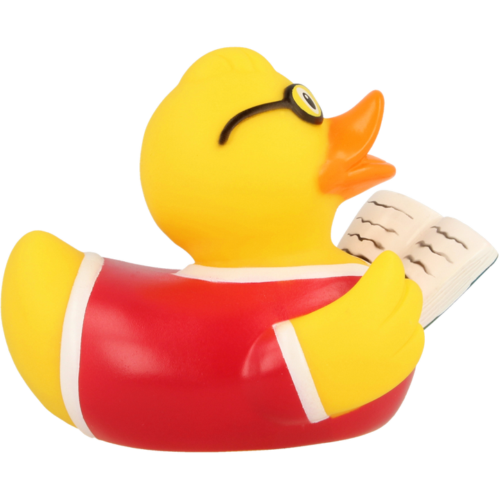 Buch Lesen Ente Badeente Quietscheente Lilalu