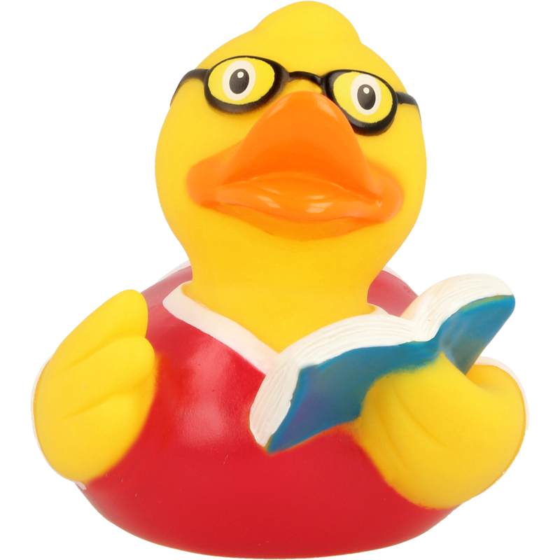 Buch Lesen Ente Badeente Quietscheente Lilalu