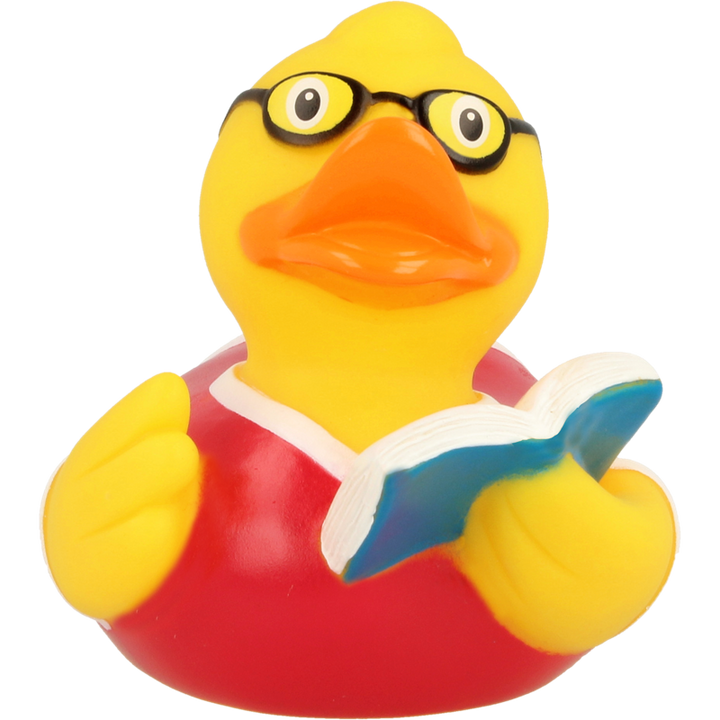 Buch Lesen Ente Badeente Quietscheente Lilalu