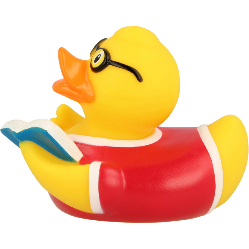 Buch Lesen Ente Badeente Quietscheente Lilalu