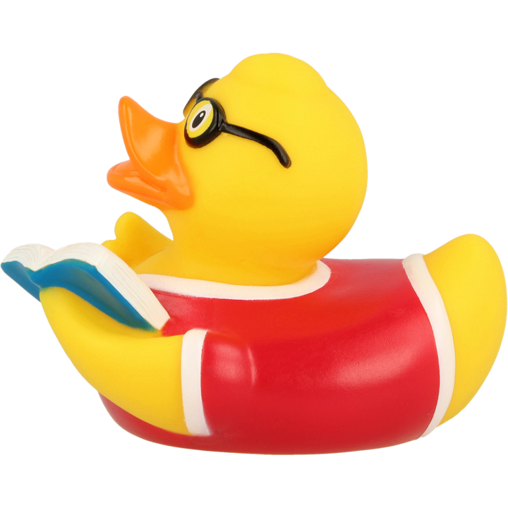 Buch Lesen Ente Badeente Quietscheente Lilalu