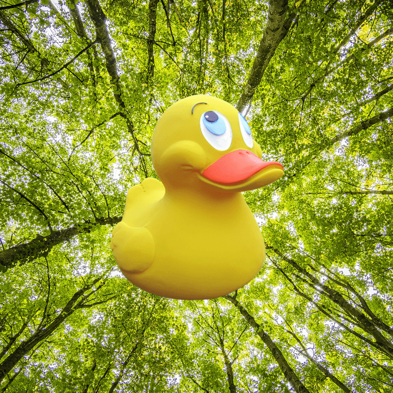 XL Duck Quietscheente Badeente Gelb Naturkautschuk Lanco