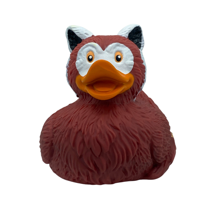 Roter Panda Ente Badeente Quietscheente Wild Republic