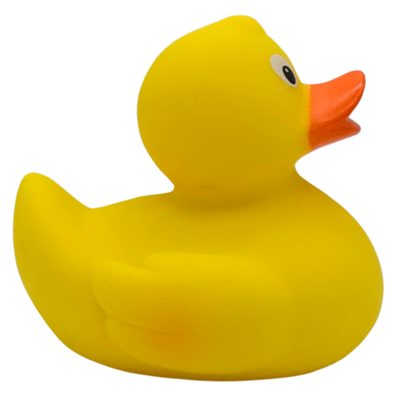 rennente-rasant-entenrennen-gummiente-badeente-quietscheente
