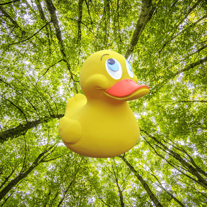Gelbe Naturkautschukente steht im Wald