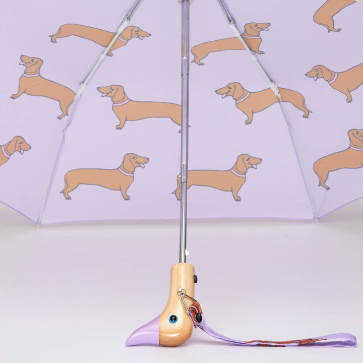 Regenschirm Dackelmotiv Rosa Coucou Suzette Paris Original Duckhead