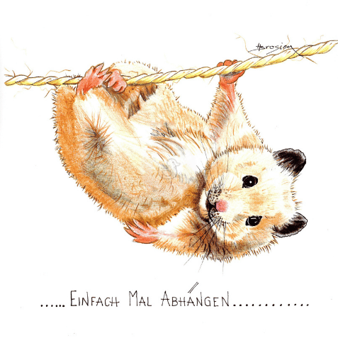bild-passepartout-heidemarie-brosien-entengalerie-hamster