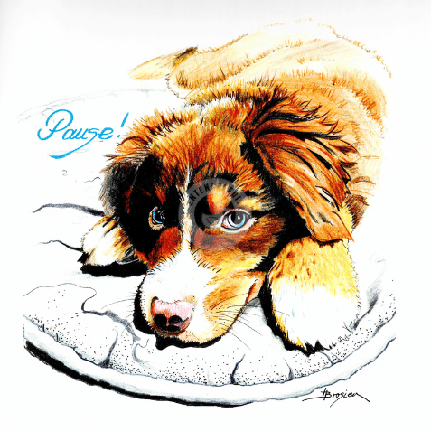 bild-passepartout-heidemarie-brosien-entengalerie-hund-pause