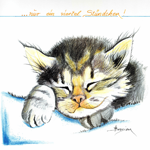 Passepartout Bild Katze "Viertel Stündchen" 24 x 30 cm Heidemarie Brosien