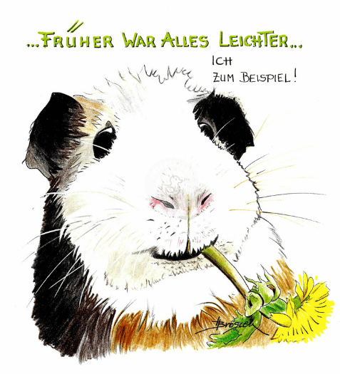 bild-passepartout-heidemarie-brosien-entengalerie-meerschweinchen