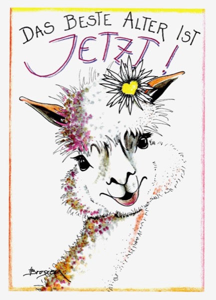 Grußkarte Klappkarte Alpaka "Das beste Alter ist Jetzt" 11 x 15 cm Heidemarie Brosien