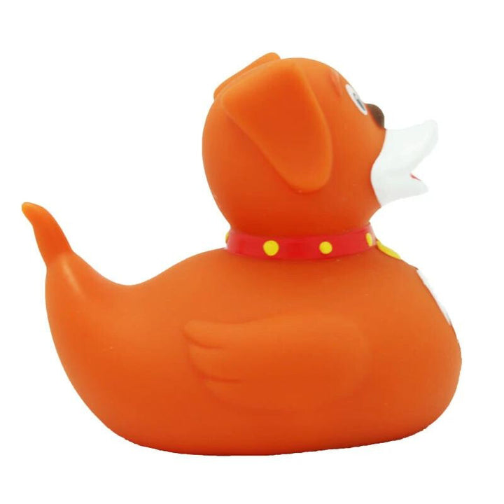 Hund Ente Badeente Quietscheente Gummiente Lilalu