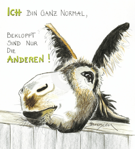 Passepartout Bild Esel "Ich bin ganz normal" 24 x 30 cm Heidemarie Brosien
