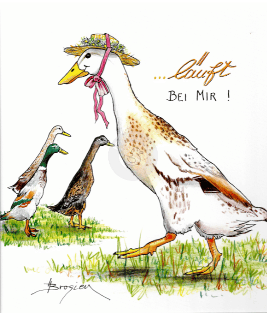 Passepartout Bild Enten "Läuft bei mir" 24 x 30 cm Heidemarie Brosien