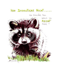 Passepartout Bild Waschbär "Ich diskutiere nicht" 24 x 30 cm Heidemarie Brosien