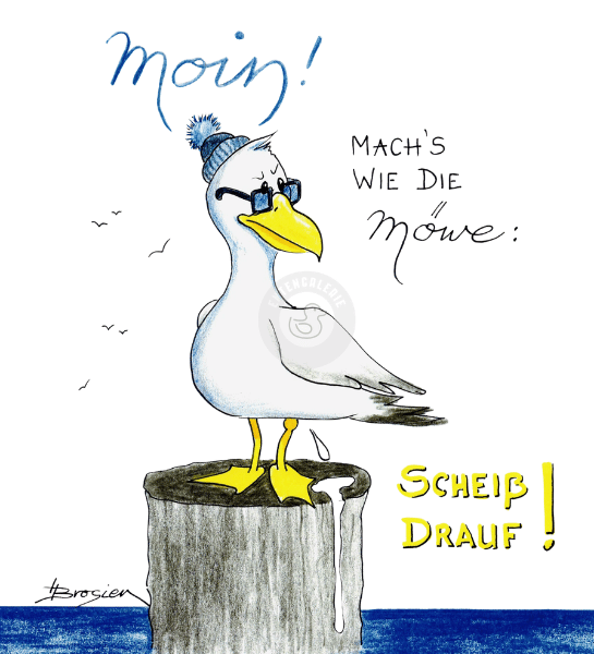 Passepartout Bild Möwe "Scheiß Drauf" 24 x 30 cm Heidemarie Brosien