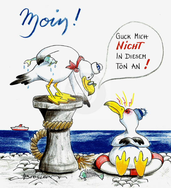 Passepartout Bild Möwen "Guck mich nicht in diesem Ton an" 24 x 30 cm Heidemarie Brosien