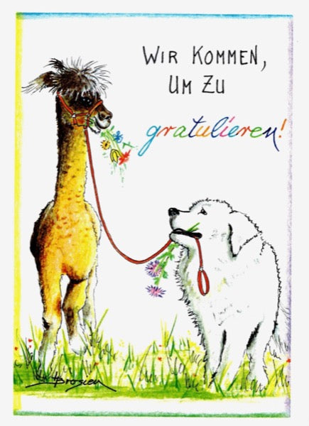 Grußkarte Klappkarte Alpaka Hund "Wir kommen um zu gratulieren" 11 x 15 cm Heidemarie Brosien